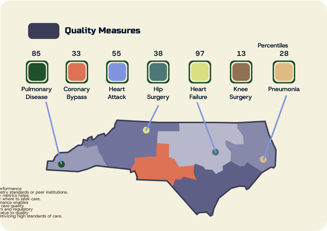 An abstract image of the type of Quality Measure, based on specific demographic details of a state based on the users data input into VitalGrid's algorithm. 